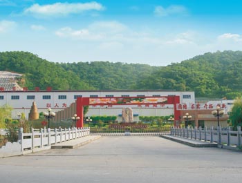 梅州市威利邦电子科技有限leyu乐鱼·官方web站登录入口