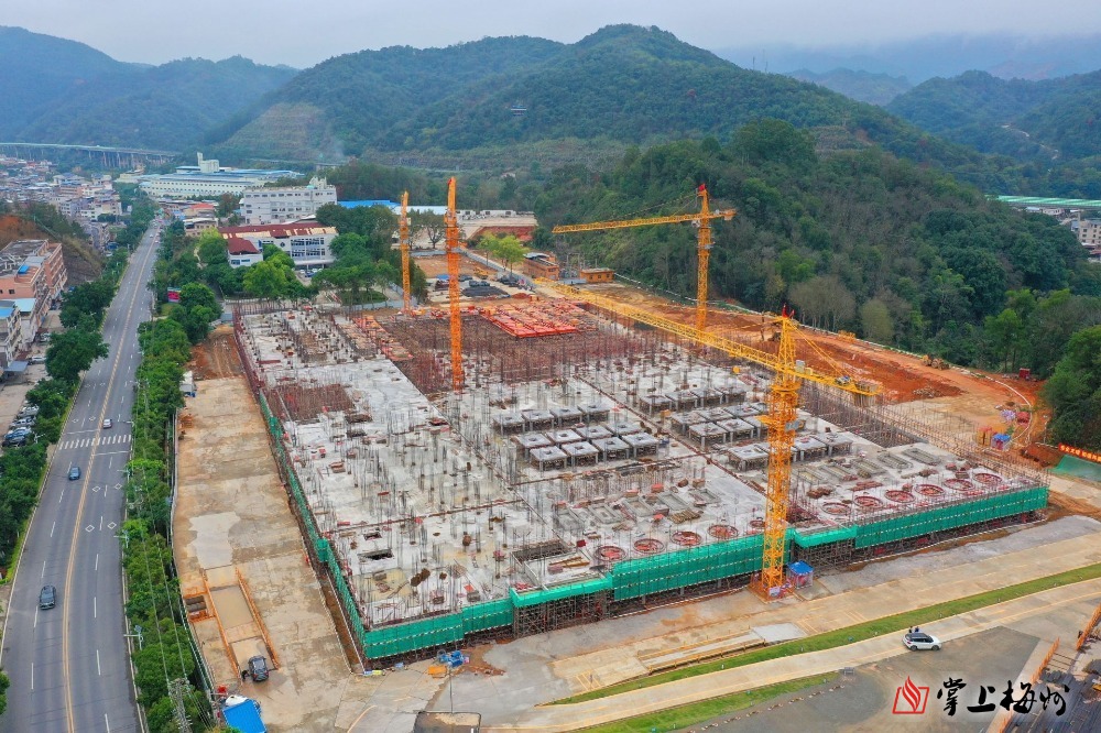 “新春走基层·企业行”全媒体采风团走进乐鱼（中国）科技